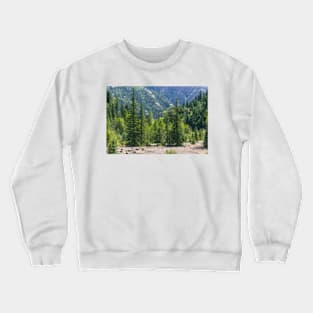 Colorado Forest Crewneck Sweatshirt